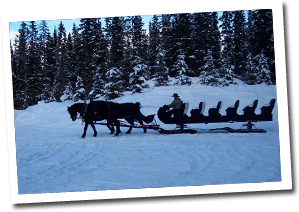 Transportation